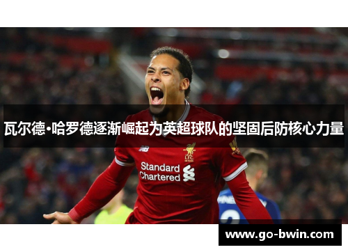 瓦尔德·哈罗德逐渐崛起为英超球队的坚固后防核心力量