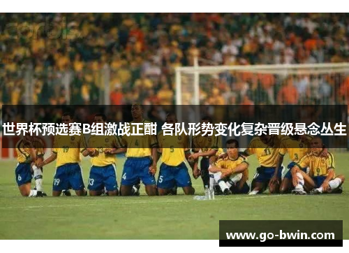 世界杯预选赛B组激战正酣 各队形势变化复杂晋级悬念丛生