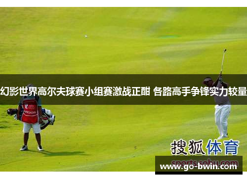 幻影世界高尔夫球赛小组赛激战正酣 各路高手争锋实力较量