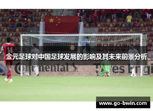 金元足球对中国足球发展的影响及其未来前景分析