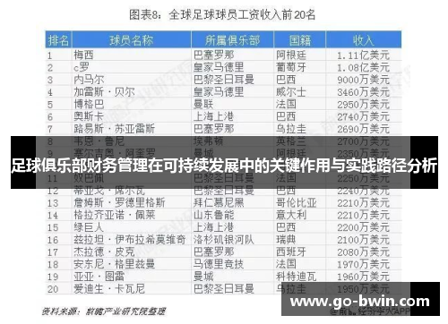 足球俱乐部财务管理在可持续发展中的关键作用与实践路径分析