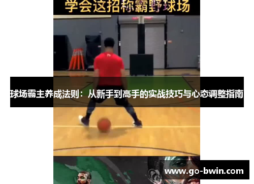 球场霸主养成法则：从新手到高手的实战技巧与心态调整指南