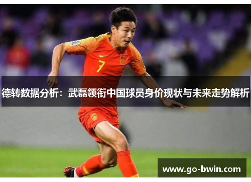 德转数据分析：武磊领衔中国球员身价现状与未来走势解析