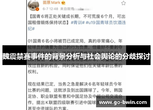 魏震禁赛事件的背景分析与社会舆论的分歧探讨