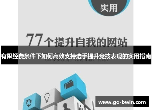 有限经费条件下如何高效支持选手提升竞技表现的实用指南