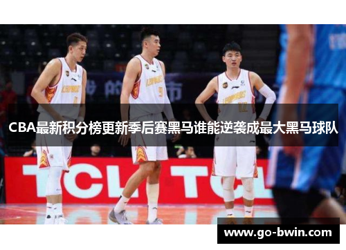 CBA最新积分榜更新季后赛黑马谁能逆袭成最大黑马球队