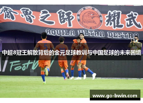 中超8冠王解散背后的金元足球教训与中国足球的未来困境