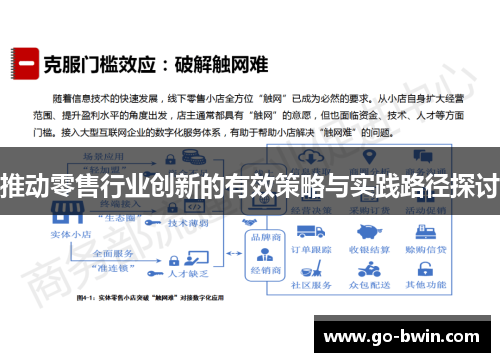 推动零售行业创新的有效策略与实践路径探讨