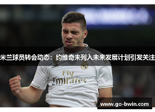 米兰球员转会动态：约维奇未列入未来发展计划引发关注
