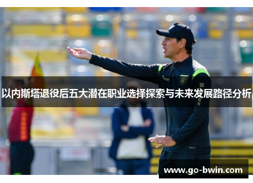 以内斯塔退役后五大潜在职业选择探索与未来发展路径分析