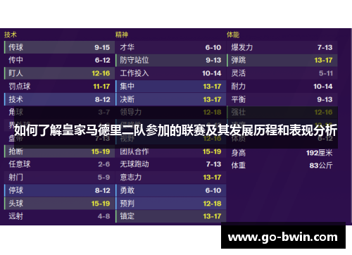如何了解皇家马德里二队参加的联赛及其发展历程和表现分析